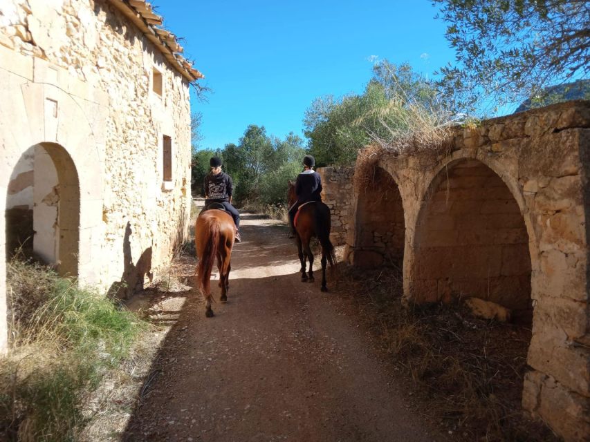 Mallorca: Authentic Horseback Ride in Rural Mallorca - Transportation and meeting points: keep it simple