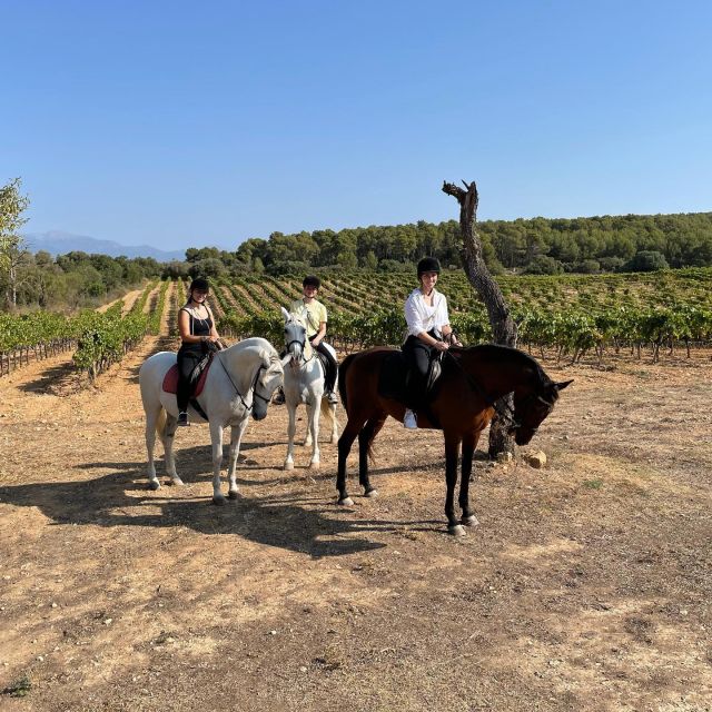 Mallorca: Authentic Horseback Ride in Rural Mallorca - Why the Antigua-to-Randa Valley route feels genuinely rural