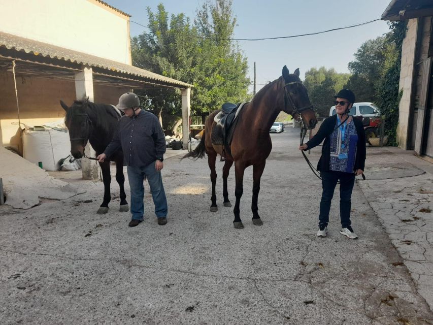 Mallorca: Authentic Horseback Ride in Rural Mallorca - Randa Valley: holm oak groves and paths that build control