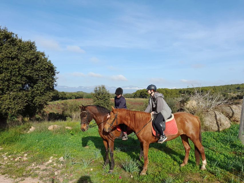 Mallorca: Authentic Horseback Ride in Rural Mallorca - Open country around almond trees, olives, and fields