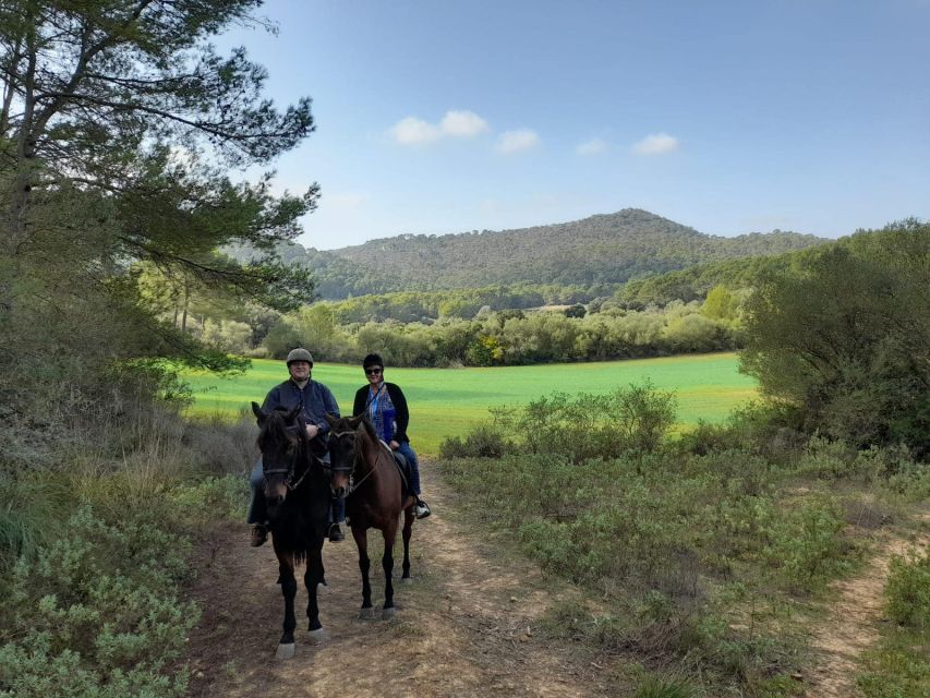Mallorca: Authentic Horseback Ride in Rural Mallorca - The horses: why Andalusians matter for this kind of ride