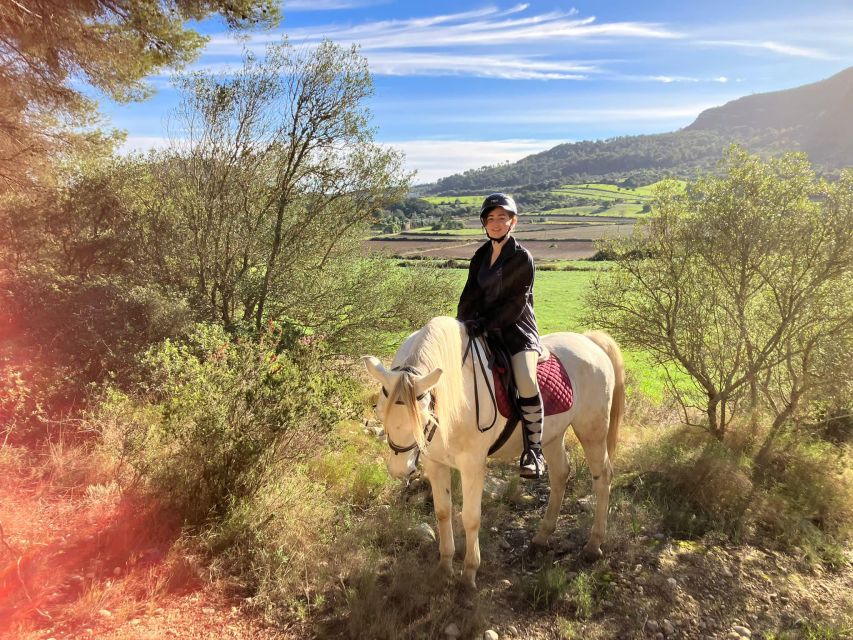Mallorca: Authentic Horseback Ride in Rural Mallorca - What’s included (and how it affects value)