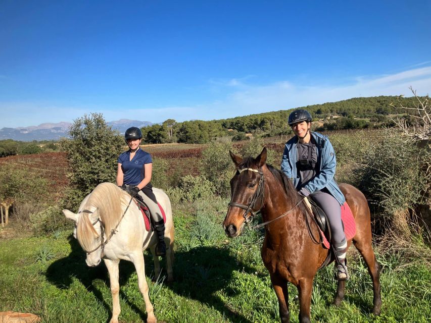 Mallorca: Authentic Horseback Ride in Rural Mallorca - Getting set up: welcome, horse prep, and an arena session that actually helps