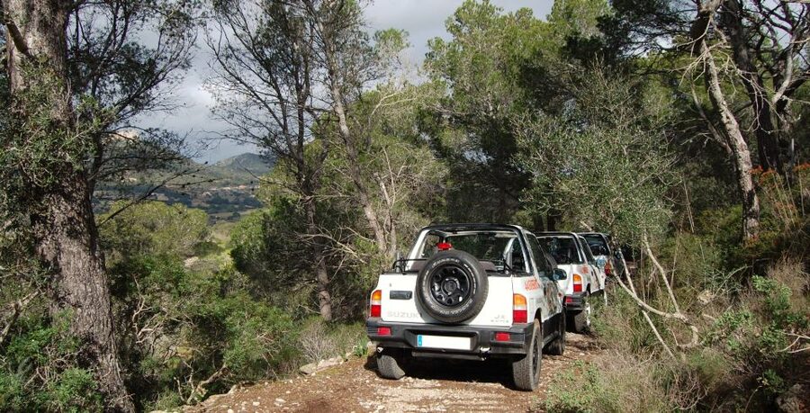 Mallorca: Beach and Mountain 4X4 Tour - Hotel pickup in Mallorca: the blue-van details that prevent last-minute chaos