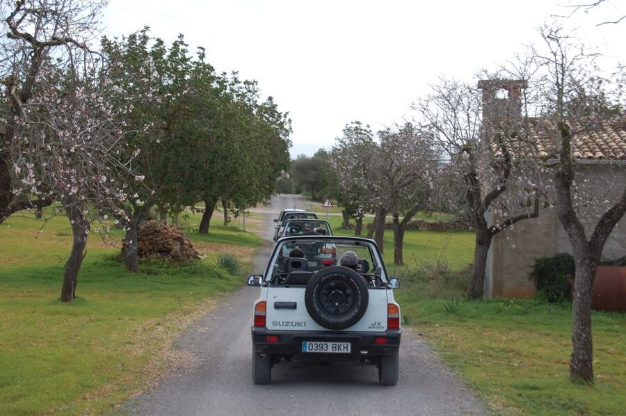 Mallorca: Beach and Mountain 4X4 Tour - Cala Murada swim stop: how to use your 30 minutes well
