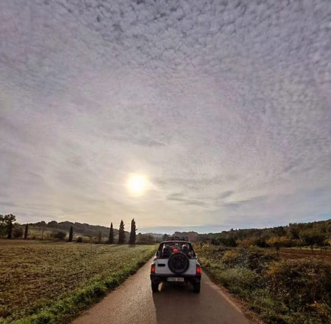Mallorca: Beach and Mountain 4X4 Tour - Price and value: what $89 covers, and what can add up later