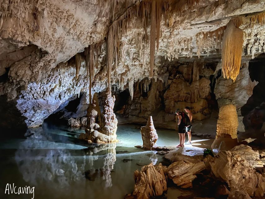 Mallorca: Beach Inside the Cave Tour - Logistics You Should Know Before You Go