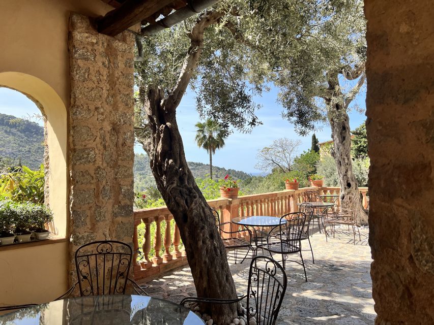 Mallorca Beyond the Guidebooks - Tour with the famous Author - Valldemossa: A Short Guided Stop With Big Atmosphere