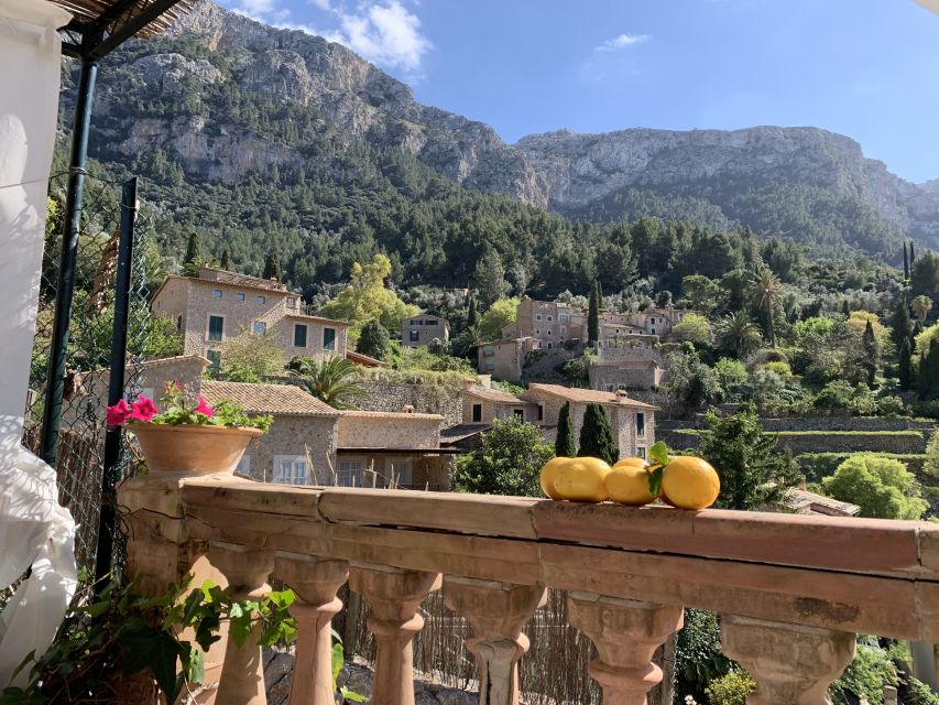 Mallorca Beyond the Guidebooks - Tour with the famous Author - Pickup, Van Time, and Why the Pace Matters