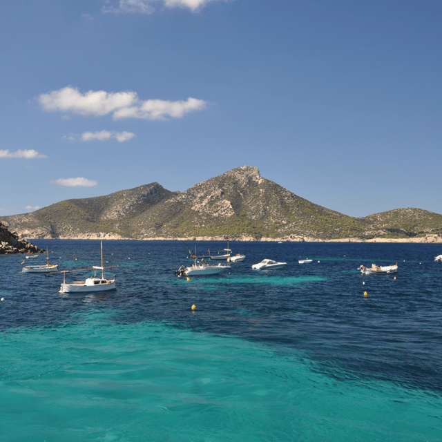 Mallorca: Boat Transfer between Port Andratx and Sant Elm - Key things to know before you book