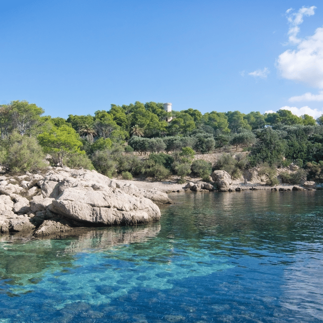 Mallorca: Boat Transfer between Port Andratx and Sant Elm - Puerto de Andratx: starting in a real working port