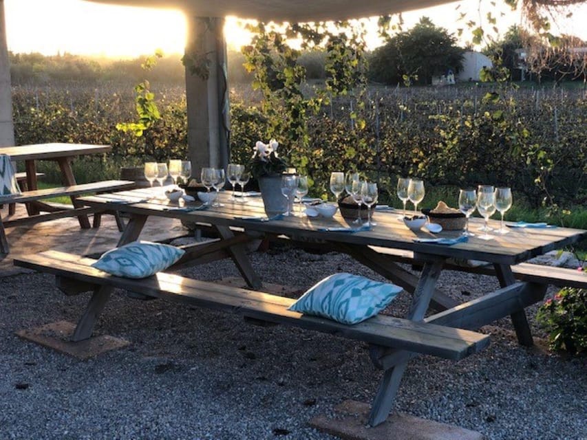 Mallorca: Bodega Butxet Vineyards & Winery Tour with Tasting - Who This Tour Fits Best