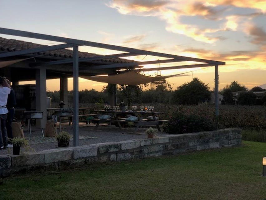 Mallorca: Bodega Butxet Vineyards & Winery Tour with Tasting - What’s Included in the Experience (And Why It Matters for Value)