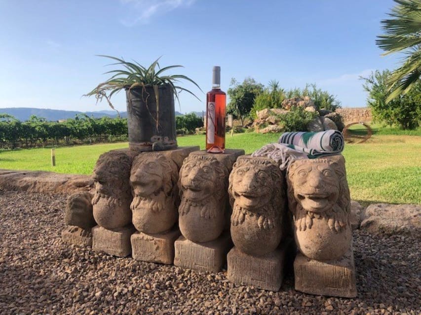 Mallorca: Bodega Butxet Vineyards & Winery Tour with Tasting - Where the Tour Begins and What You’ll Do First