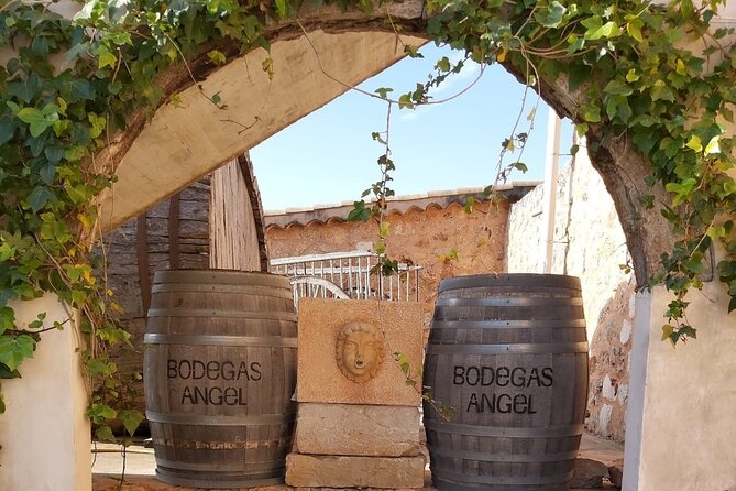 Mallorca Bodega & Olive Minibus Tour incl. Pick-up South Coast - Santa Maria del Cami and the olive oil finca: the production part is the magic