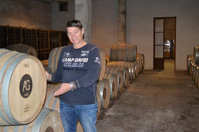Mallorca Bodega & Olive Minibus Tour incl. Pick-up South Coast - Price and value check for a $203-ish day