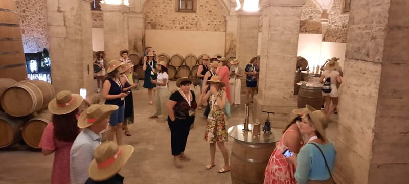 Mallorca: Bodega & Olives Minibustour with wine/oil tasting - Price and value: is $152 per person fair for what you get?