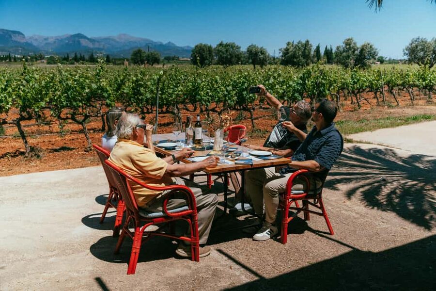 Mallorca: Bodegas Ángel Winery Tour with Wine Tasting - Key points before you go