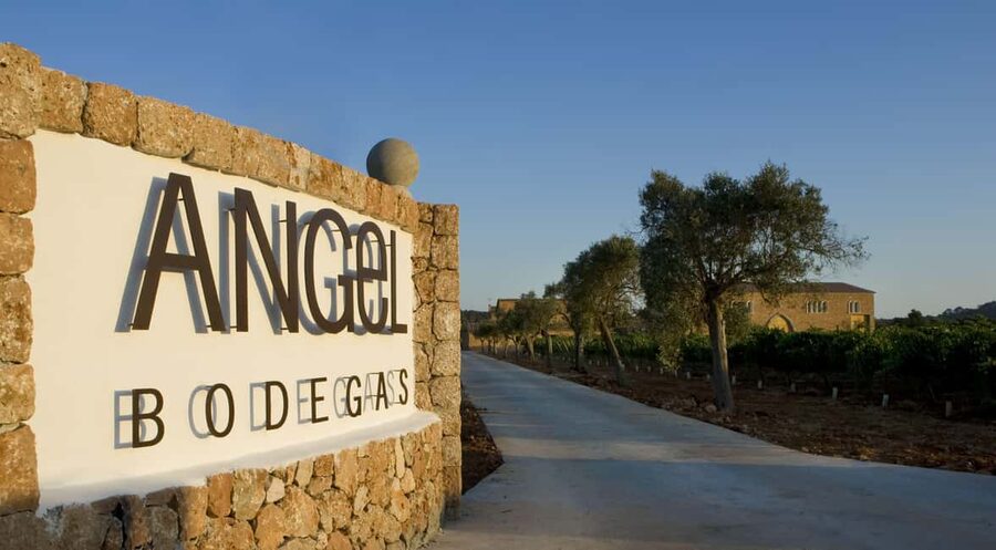 Mallorca: Bodegas Ángel Winery Tour with Wine Tasting - Why Bodegas Ángel Works as a Mallorca Wine Day