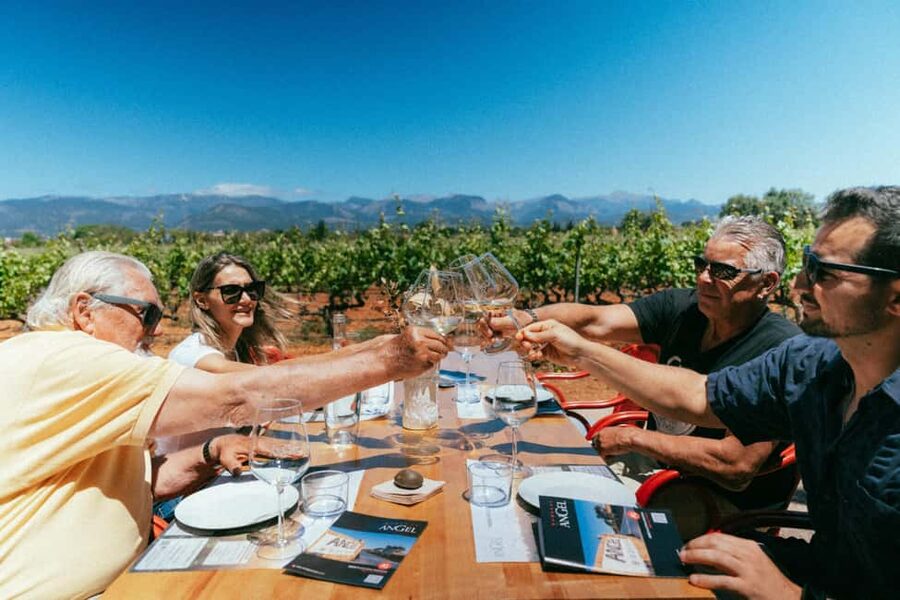 Mallorca: Bodegas Ángel Winery Tour with Wine Tasting - Vineyard Walk and Winemaking Talk: What You Actually Learn