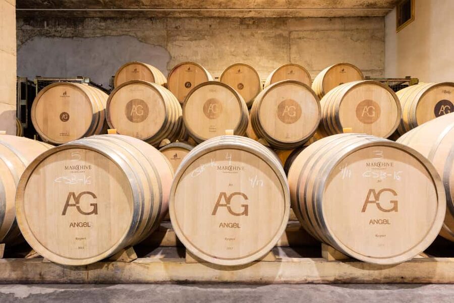 Mallorca: Bodegas Ángel Winery Tour with Wine Tasting - Food Pairings That Feel Like Mallorca, Not Just Snacks