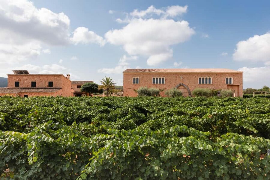 Mallorca: Bodegas Ángel Winery Tour with Wine Tasting - Guide Quality and Group Size: When the Experience Gets Personal