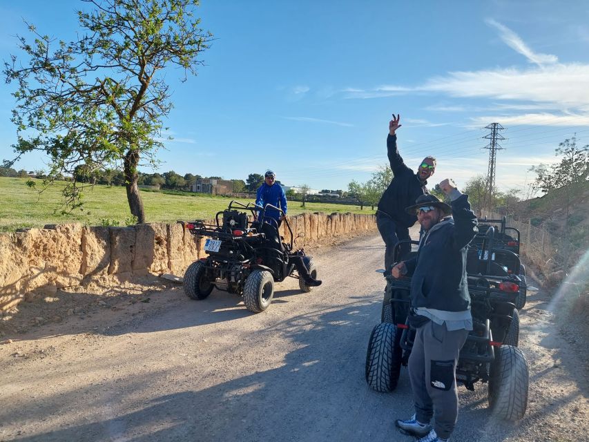 Mallorca: Buggy Tour Adventure with Cove Swimming - The secret countryside stop: why this hour feels different