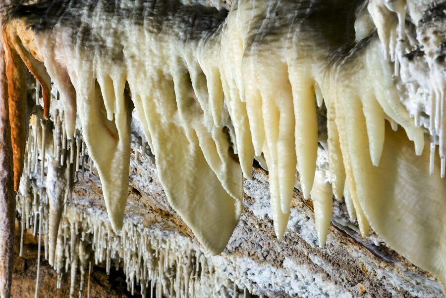 Mallorca: Campanet Caves Entry Ticket - Key things to know before you go