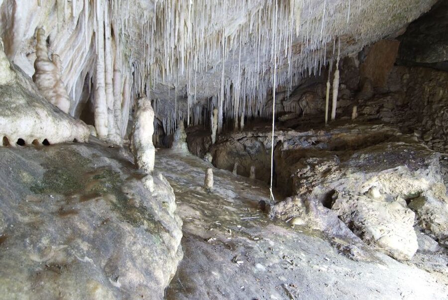 Mallorca: Campanet Caves Entry Ticket - Temperature, shoes, and the small rules that keep it pleasant