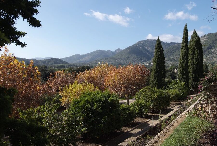 Mallorca: Campanet Caves Entry Ticket - FAQ