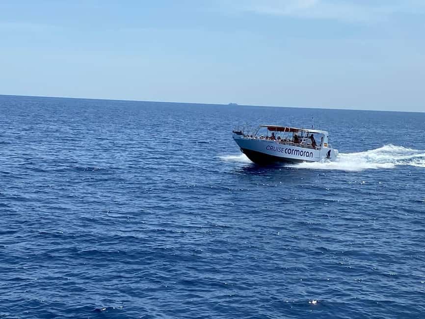 Mallorca: Caves, Cliffs, and Coves Boat Trip - Language Reality Check: English and Spanish Commentary