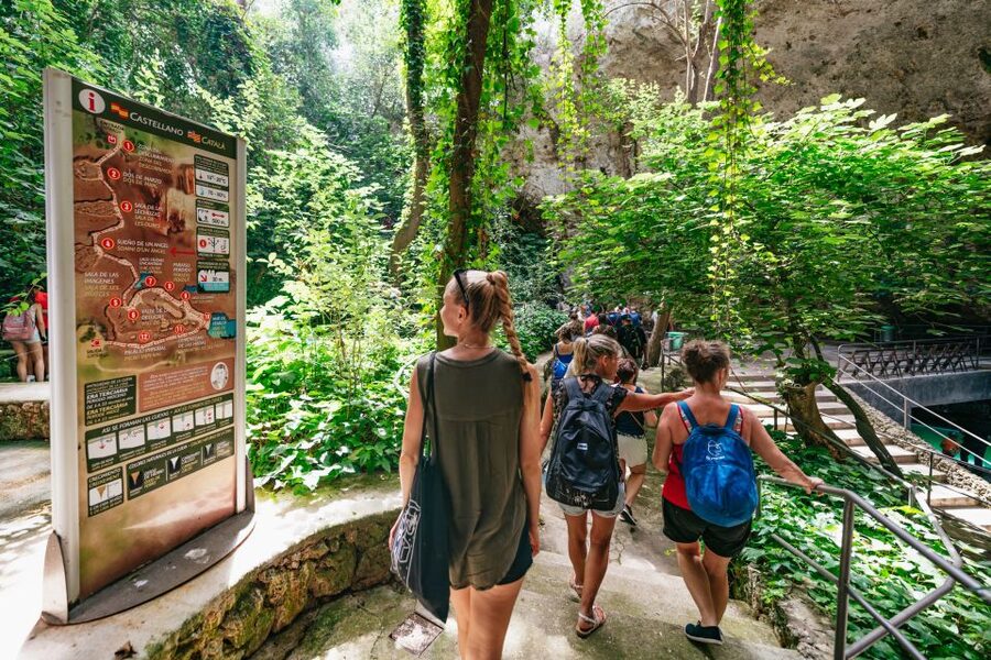 Mallorca: Caves of Drach Day Trip & Optional Caves of Hams - Caves of Drach and Lake Martel: the real reason to book