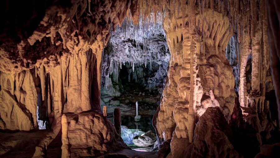 Mallorca: Caves of Hams and Dinosaurland Ticket with Pickup - The full 5-hour flow: what happens between pickup and drop-off