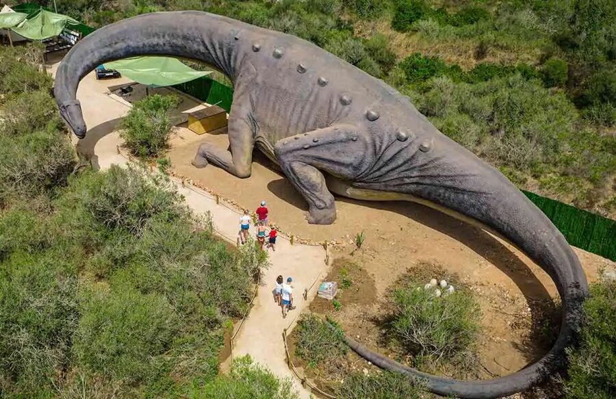 Mallorca: Caves of Hams and Dinosaurland Ticket with Pickup - Who this tour is best for (and who should think twice)