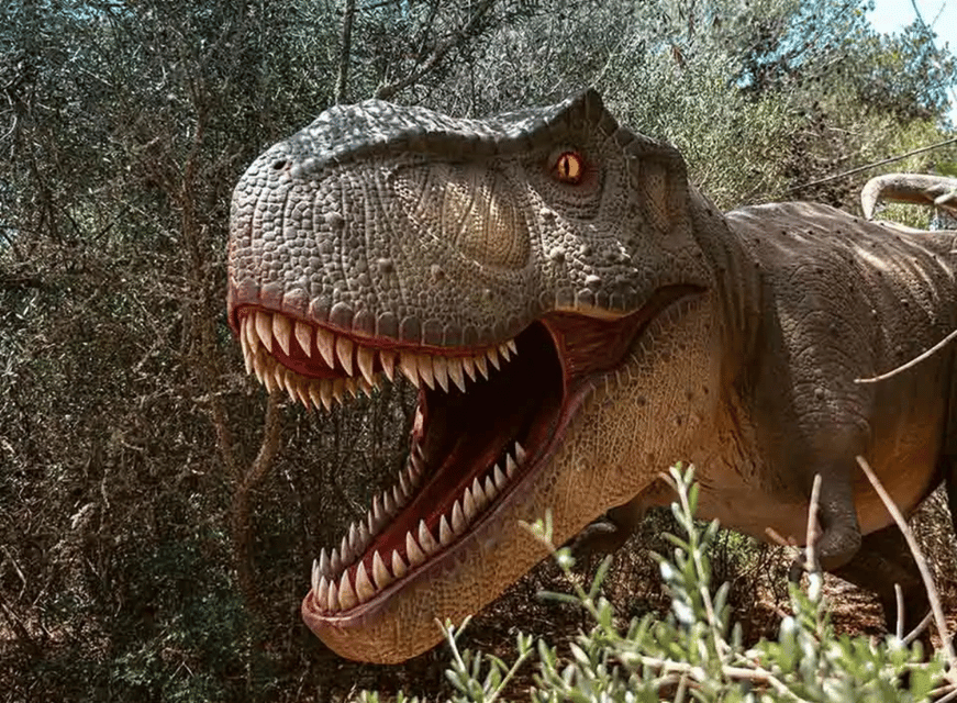 Mallorca: Caves of Hams and Dinosaurland Ticket with Pickup - Price and value: is $75 per person worth it?