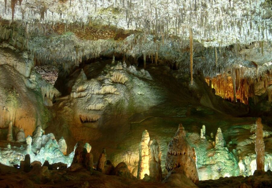 Mallorca: Caves of Hams and Dinosaurland Ticket with Pickup - Practical tips to help you enjoy it more