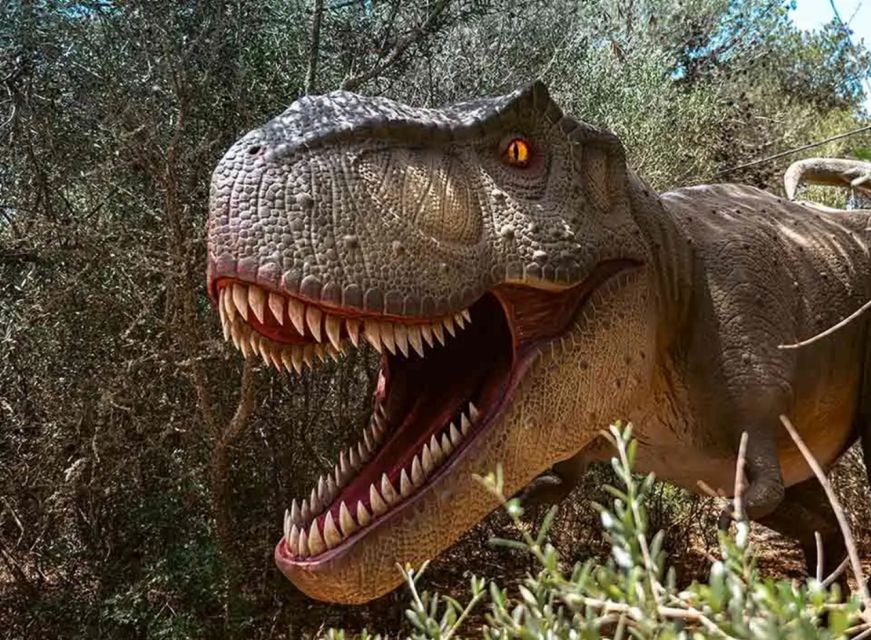 Mallorca: Caves of Hams and Dinosaurland Ticket with Pickup - Dinosaurland: your one-hour, self-paced dinosaur plan