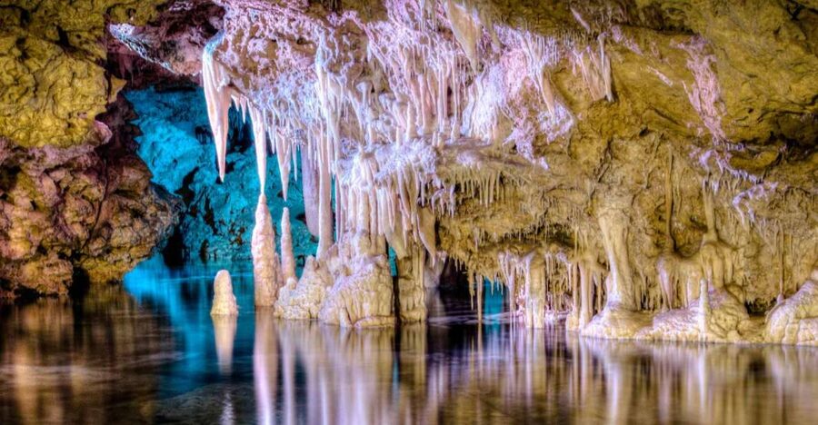 Mallorca: Caves of Hams Entry Ticket with Transportation - Cueva Redonda’s botanical garden: the surprise stop inside the cave