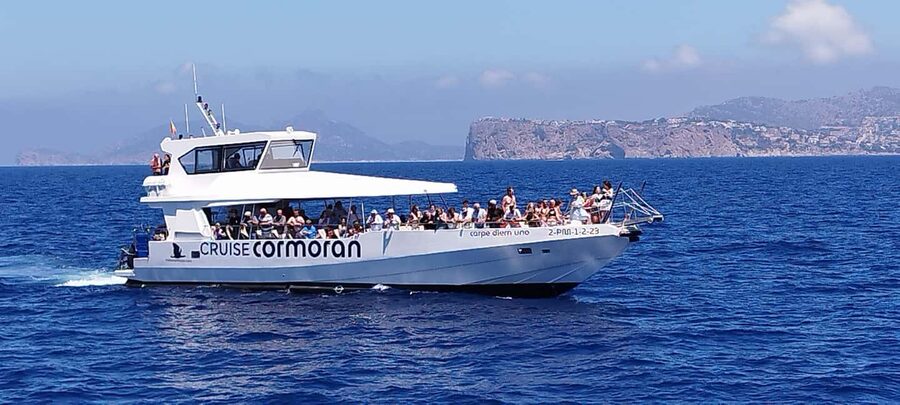 Mallorca: Coastal Cruise to Port of Andratx with swim stop - Practical tips for photos, seats, and swim timing