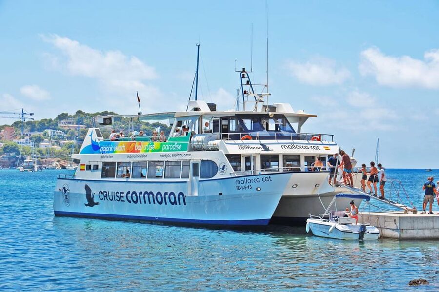 Mallorca: Coastal Cruise to Port of Andratx with swim stop - Southwest coast cruising and the Malgrats Marine Reserve factor