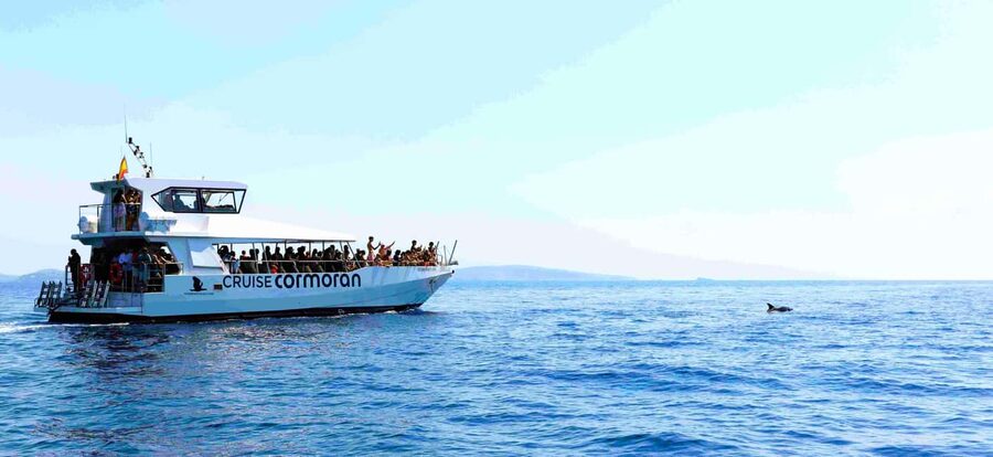 Mallorca: Coastal Cruise to Port of Andratx with swim stop - Cala Egos swim stop: snorkel time with simple gear logistics