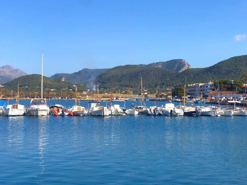 Mallorca: Coastal Cruise to Port of Andratx with swim stop - Cala en Tió cave: worth hoping for, but don’t count on it
