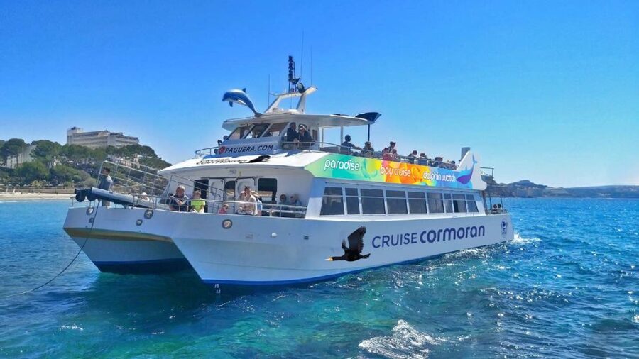 Mallorca: Coastal Cruise to Port of Andratx with swim stop - Port d’Andratx: making the most of 40 minutes in an exclusive harbour