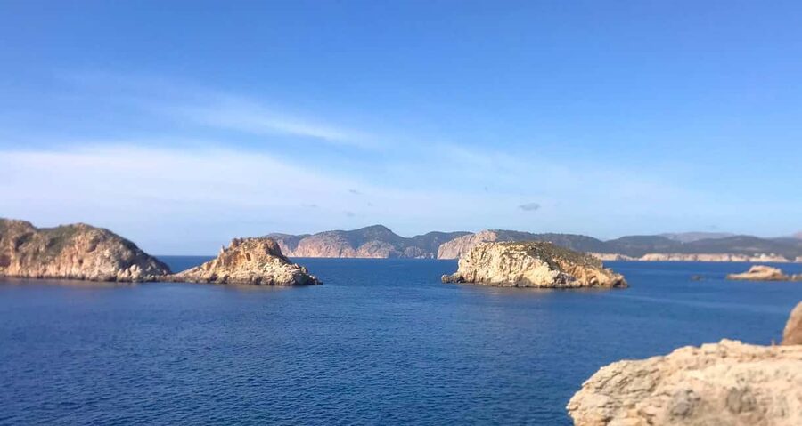 Mallorca: Coastal Cruise to Port of Andratx with swim stop - Onboard bar, drinks, and what you might eat