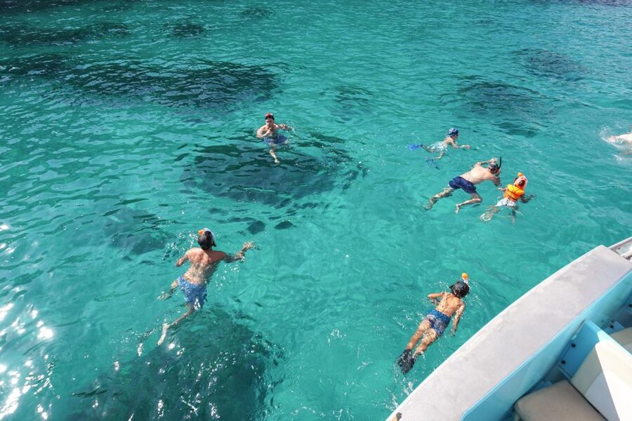 Mallorca: Coastal Cruise to Port of Andratx with swim stop - Who should book this cruise (and who should skip it)