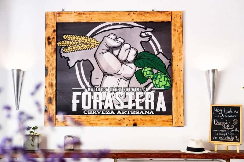 Mallorca: Craft beer tasting at the local Forastera brewery - Alaró is the right stop for real Mallorca beer