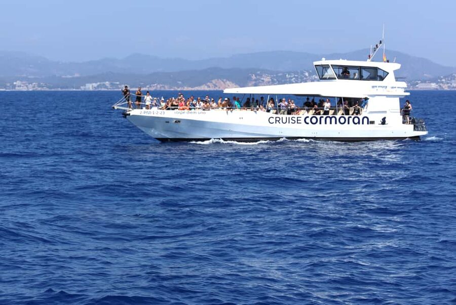 Mallorca: Cruise to Dragonera Island & Andratx Port - The swim stop: crystal water time and snorkeling without the guesswork