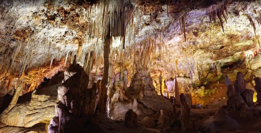 Mallorca: Day Trip to Caves of Hams & Optional Dinosaurland - Dinosaurland (Thursday Only): 100+ Life-Size Dinosaurs Near the Caves