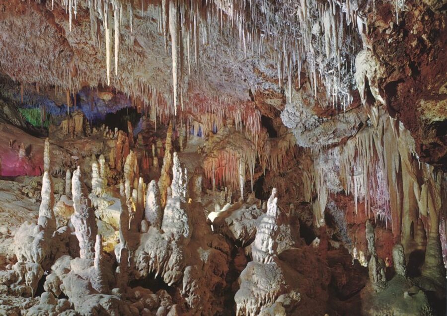 Mallorca: Day Trip to Caves of Hams & Optional Dinosaurland - Who This Tour Fits Best (and Who Might Not Love It)