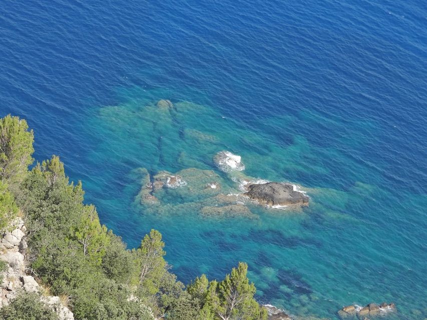 Mallorca: Day Trip to Hidden Gems of Tramuntana with Lunch - Sóller olive oil mill: where the real work happens